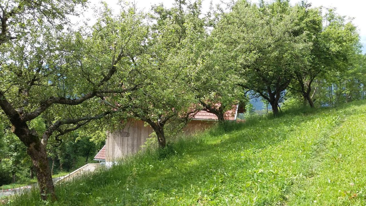 Apartamento Müllnerhaus Millstatt Exterior foto